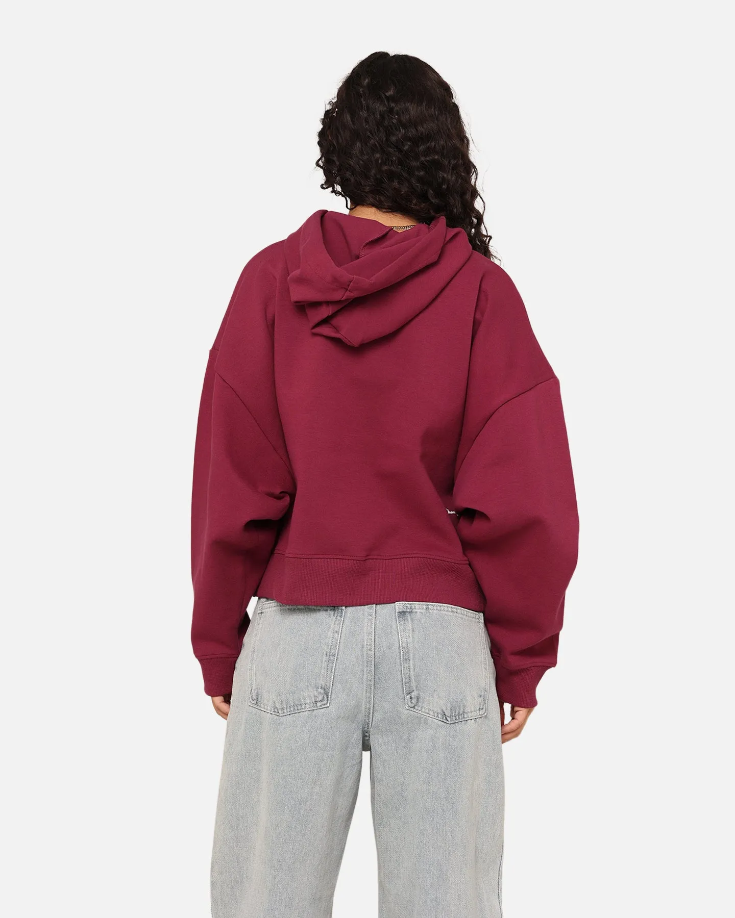 Champion Women's Rochester Base Hoodie Plum Fairy